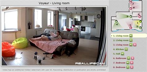 voyeu house|Free Camarads private life cameras